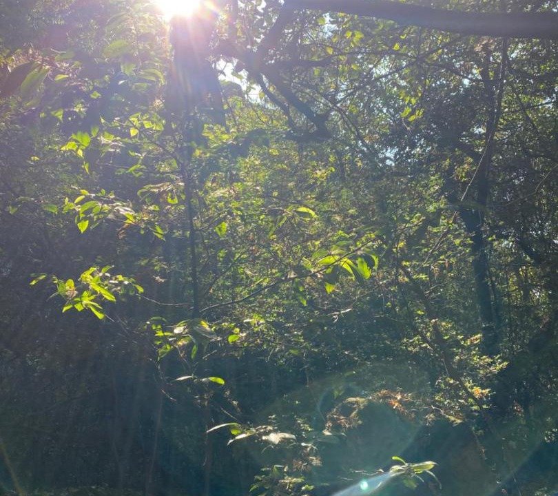 Photo of Outdoor in Amatlan