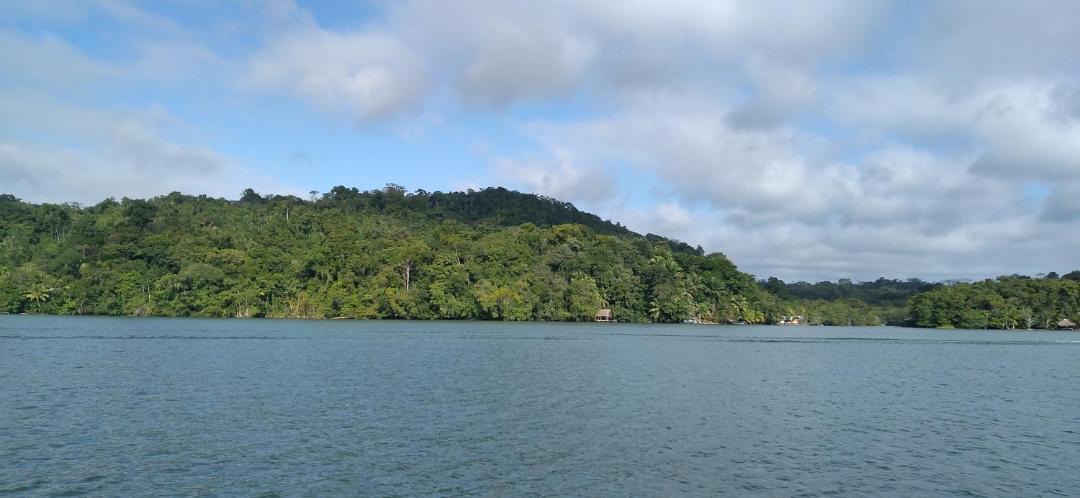 Photo of Others in Puerto Barrios