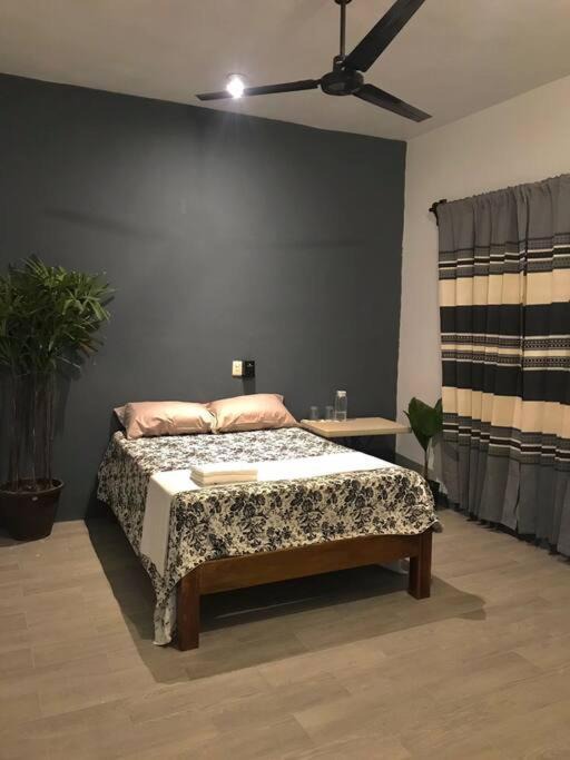 Photo of Bedroom in Centro
