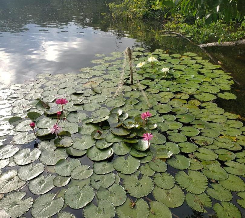 Photo of Outdoor in Puerto Barrios