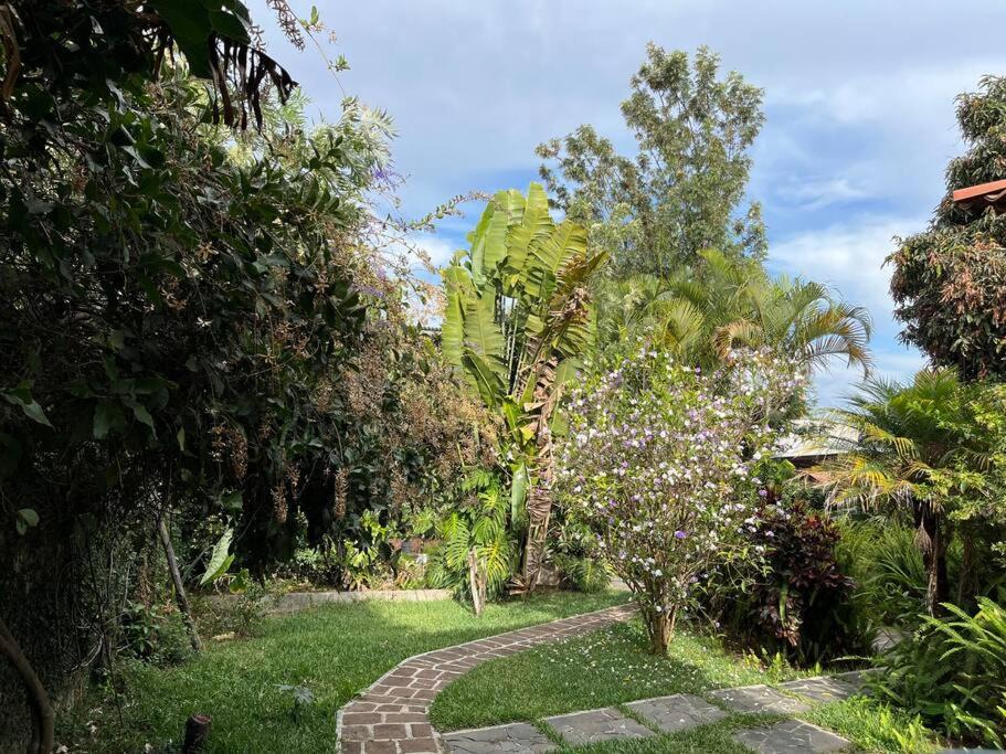 Photo of Outdoor in San Pedro La Laguna