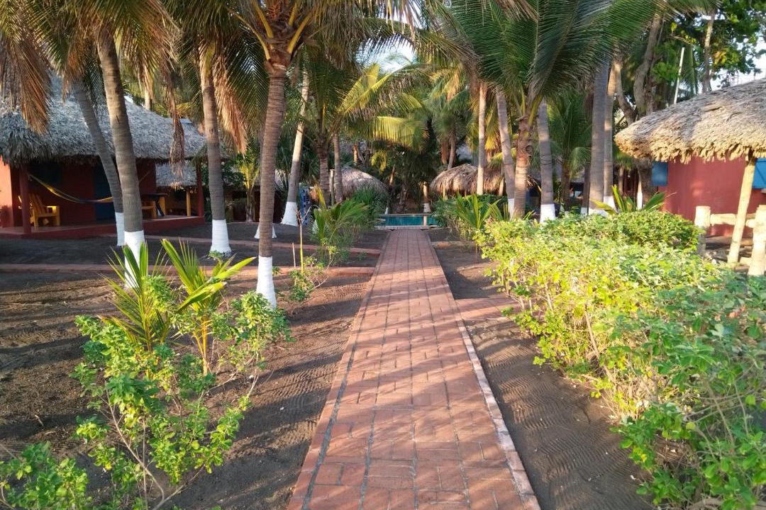 Photo of Others in Monterrico