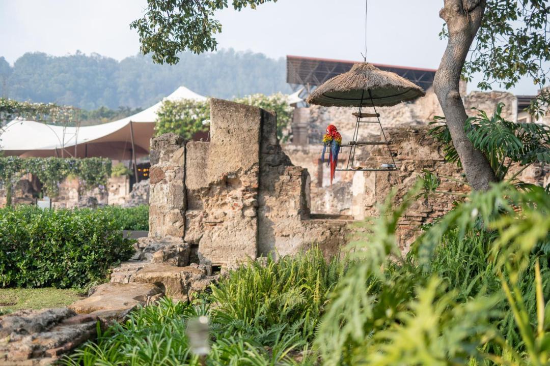 Photo of Others in Antigua Guatemala
