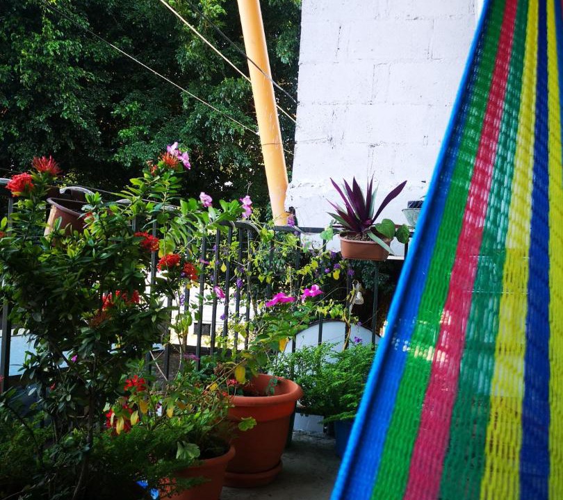 Photo of Others in Flores