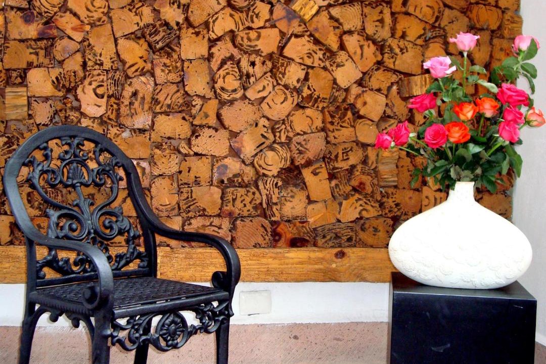 Photo of Others in Downtown Queretaro