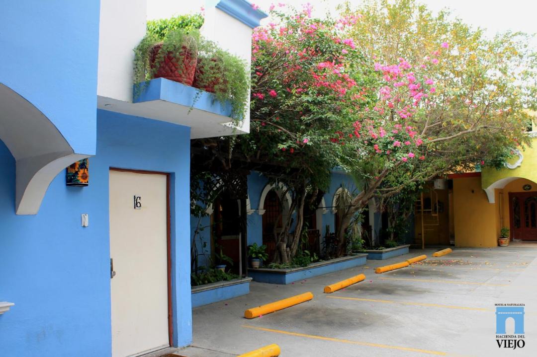Photo of Others in Matamoros