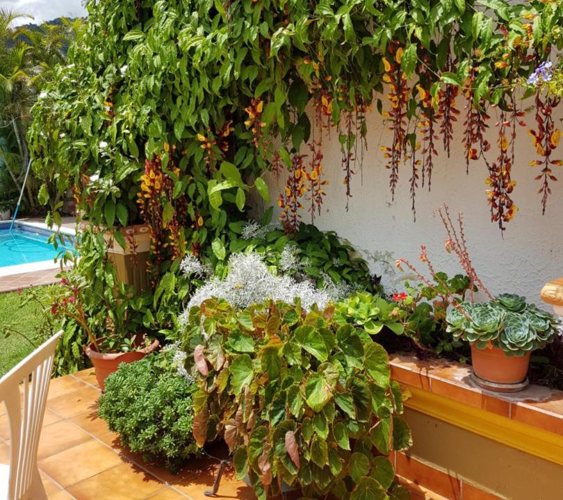 Photo of Patio Balcony in Panajachel