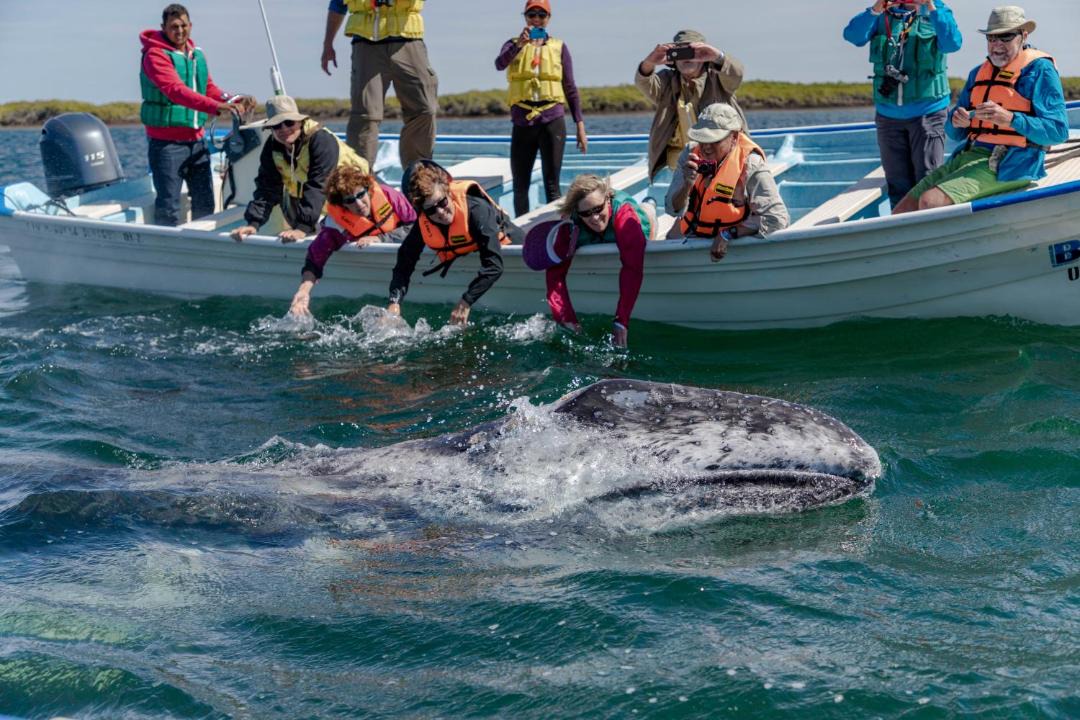 Photo of Human In Picture in La Paz