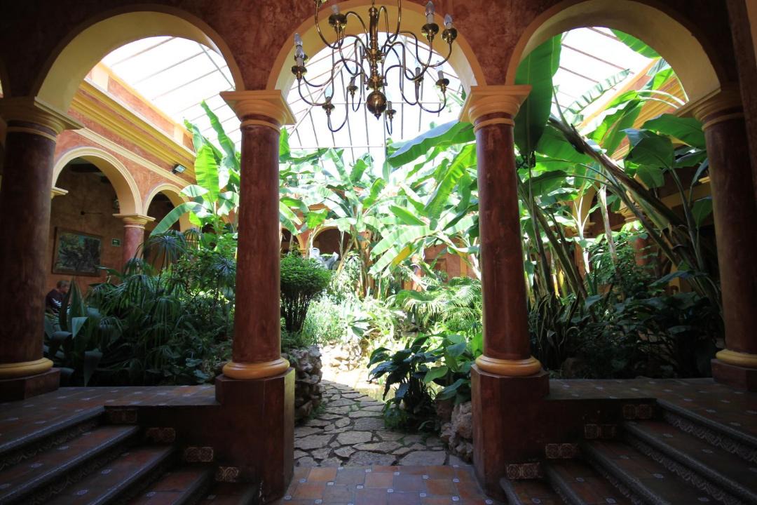 Photo of Others in San Cristobal de las Casas