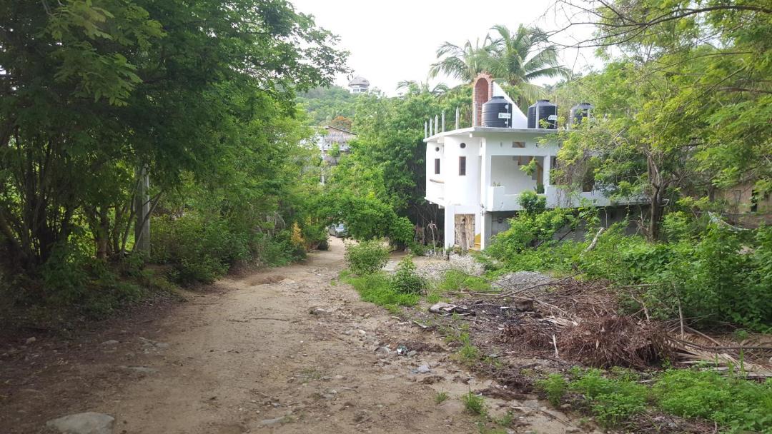 Photo of Others in Puerto Angel