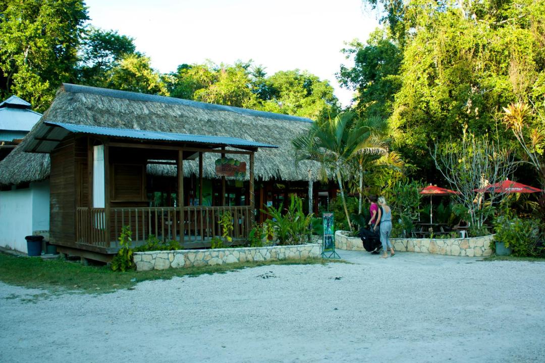 Photo of Others in Tikal National Park
