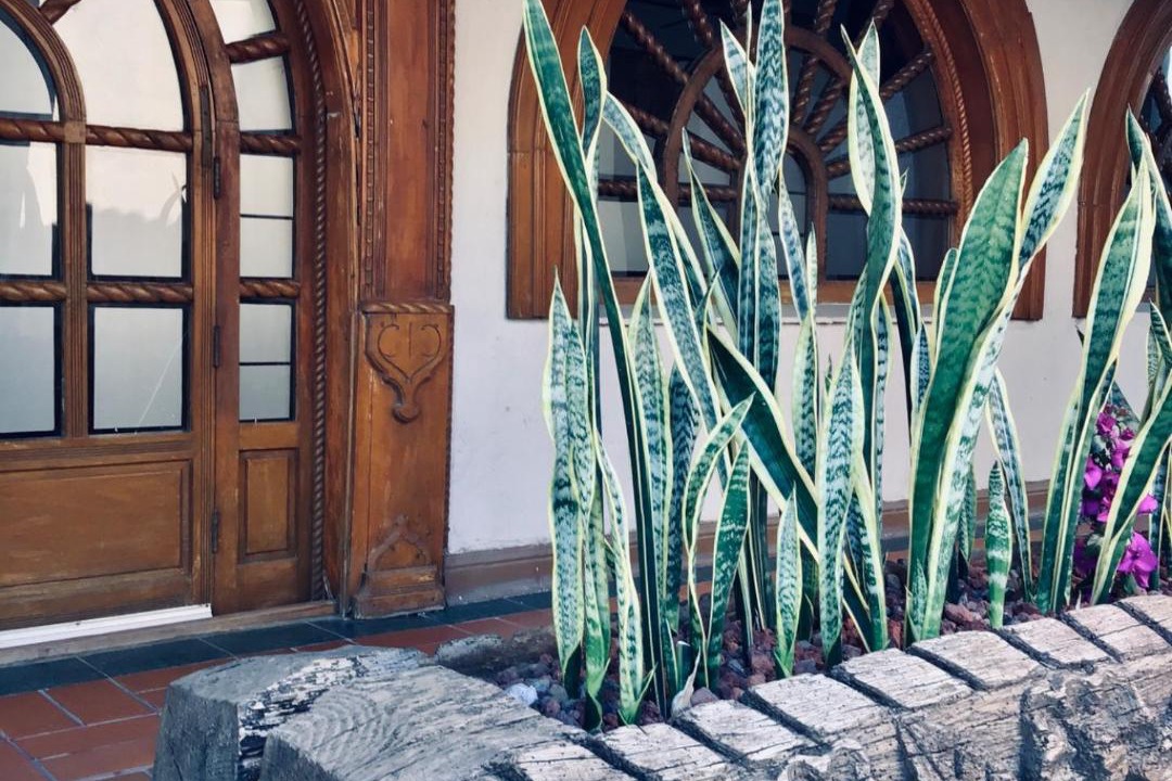 Photo of Others in Downtown Queretaro