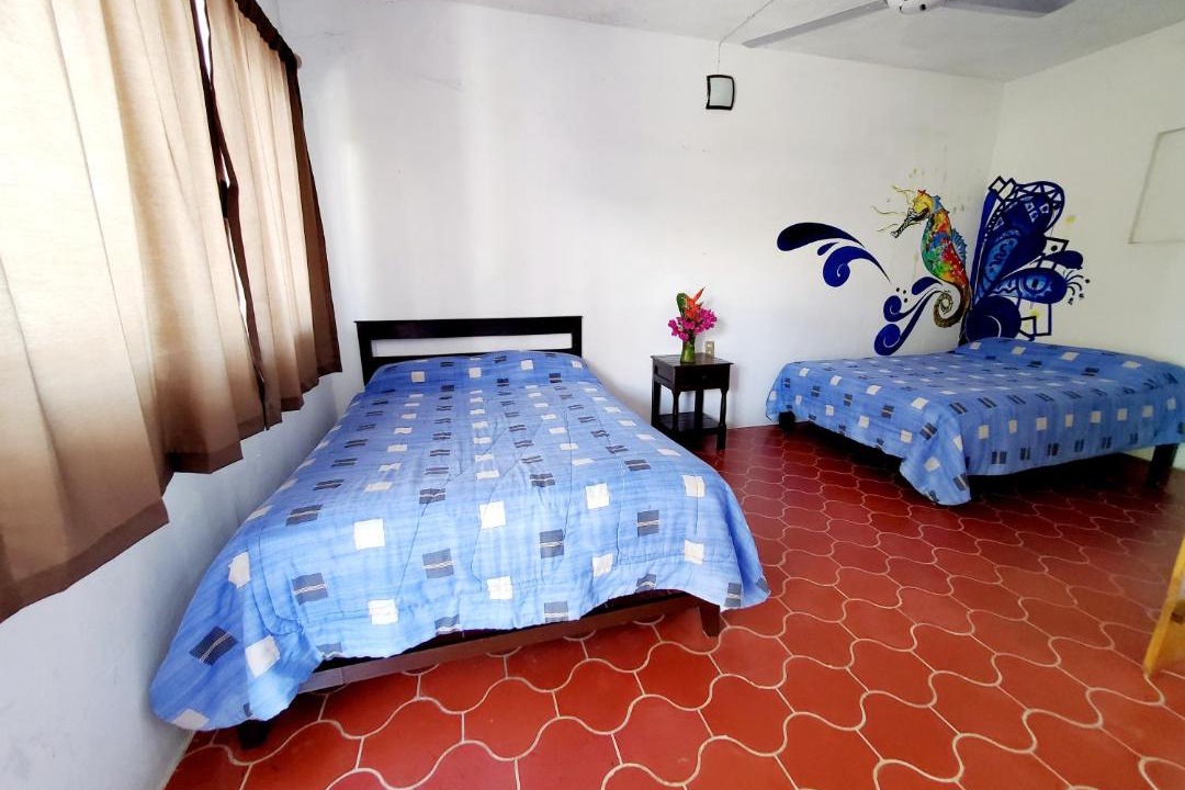 Photo of Others in San Patricio Melaque
