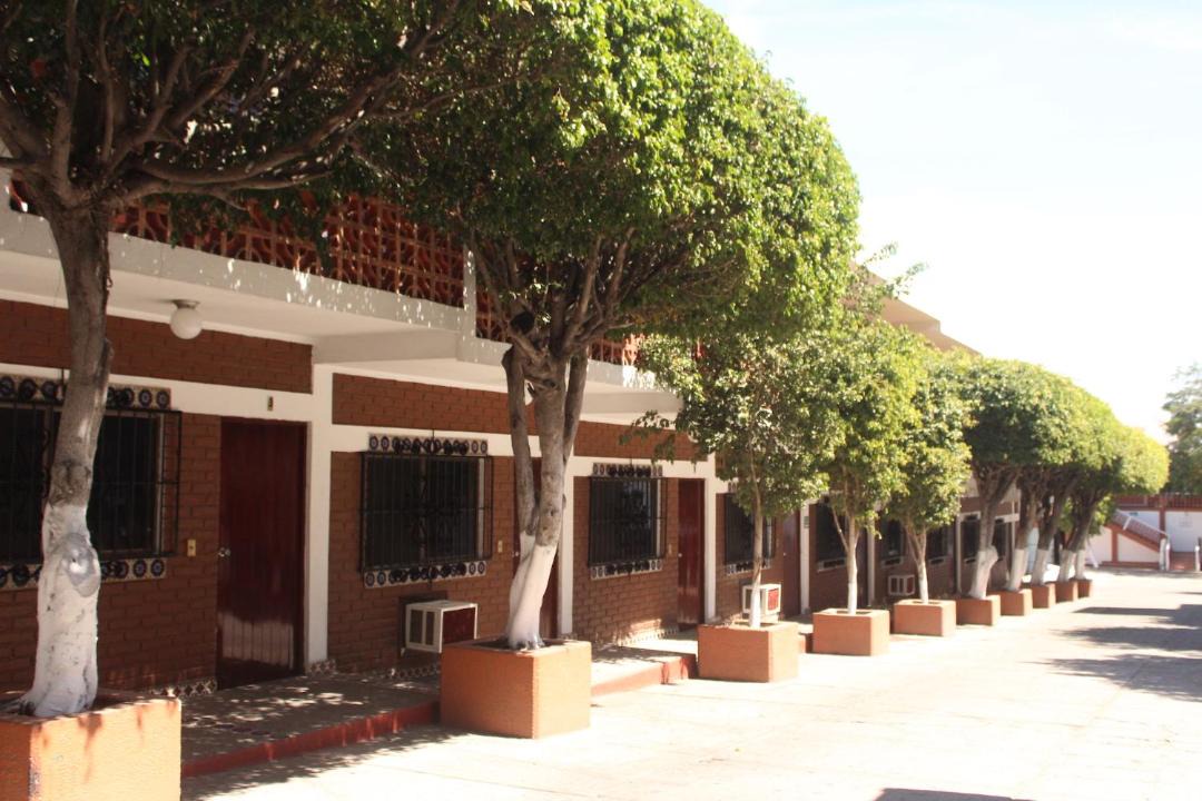 Photo of Others in Mazatlan