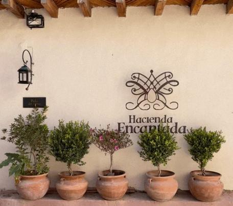 Photo of Others in Real de Catorce