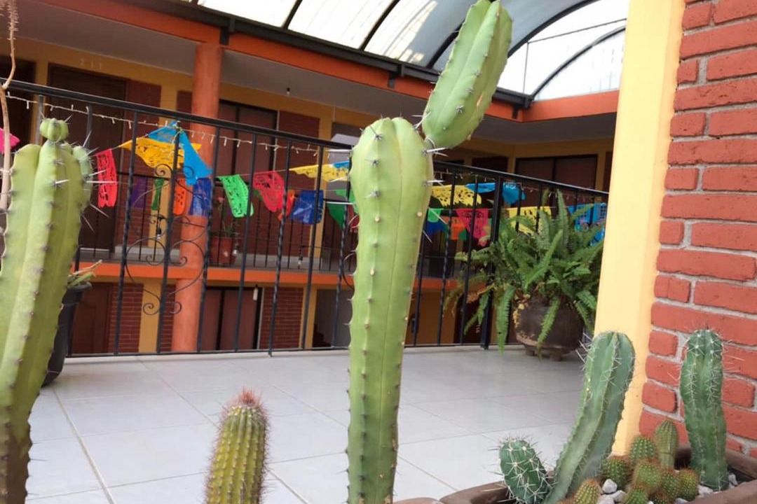 Photo of Others in Oaxaca