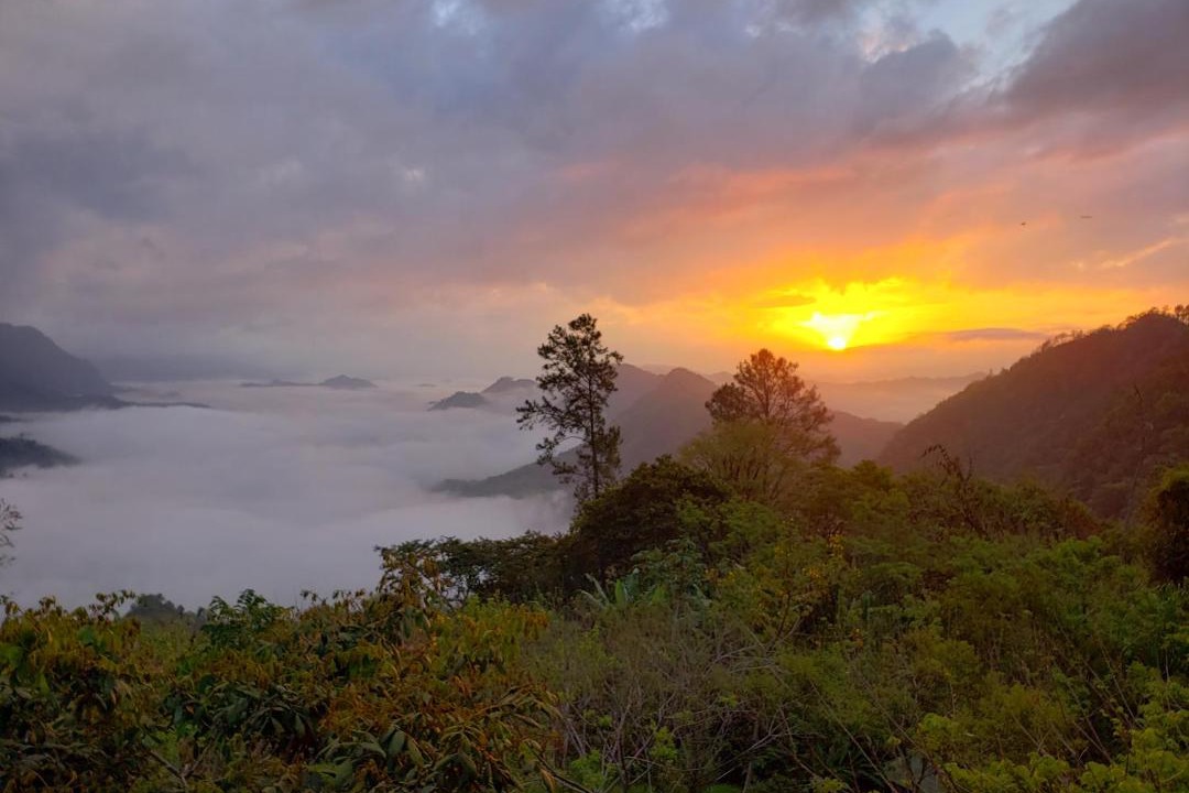 Photo of Others in Alta Verapaz