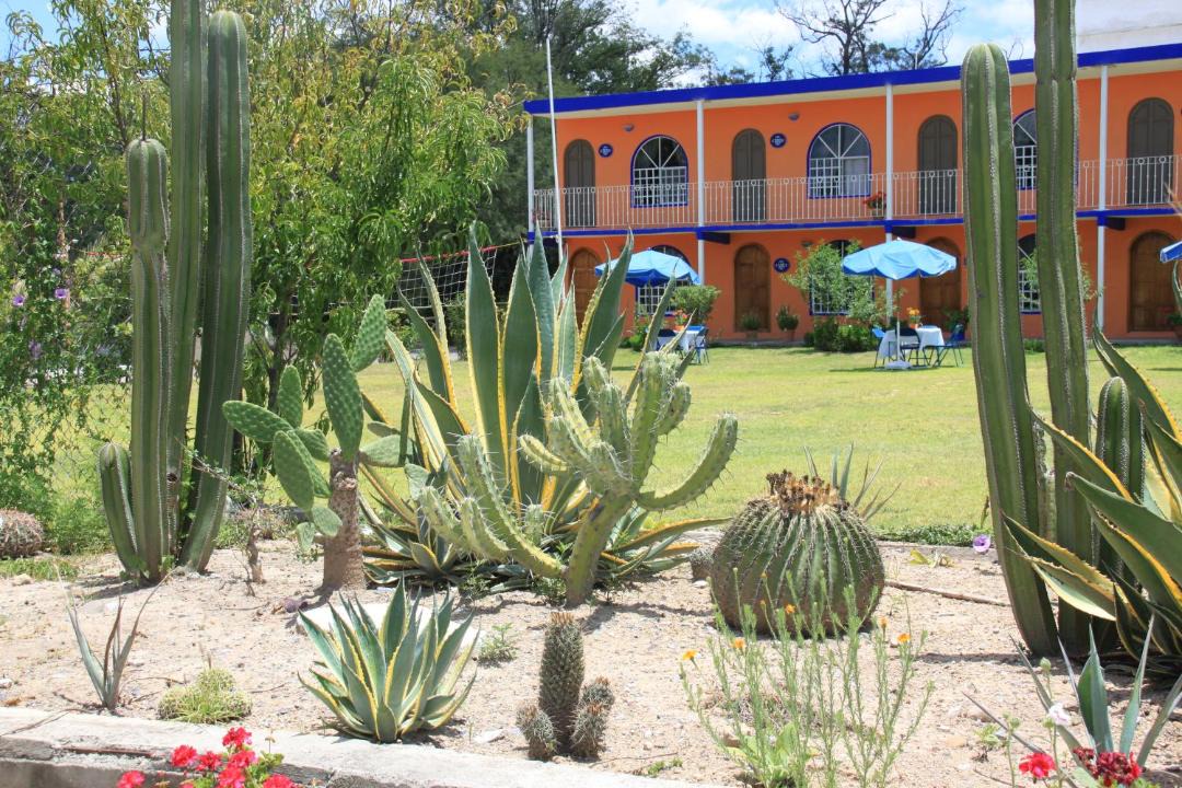 Photo of Others in Tecozautla