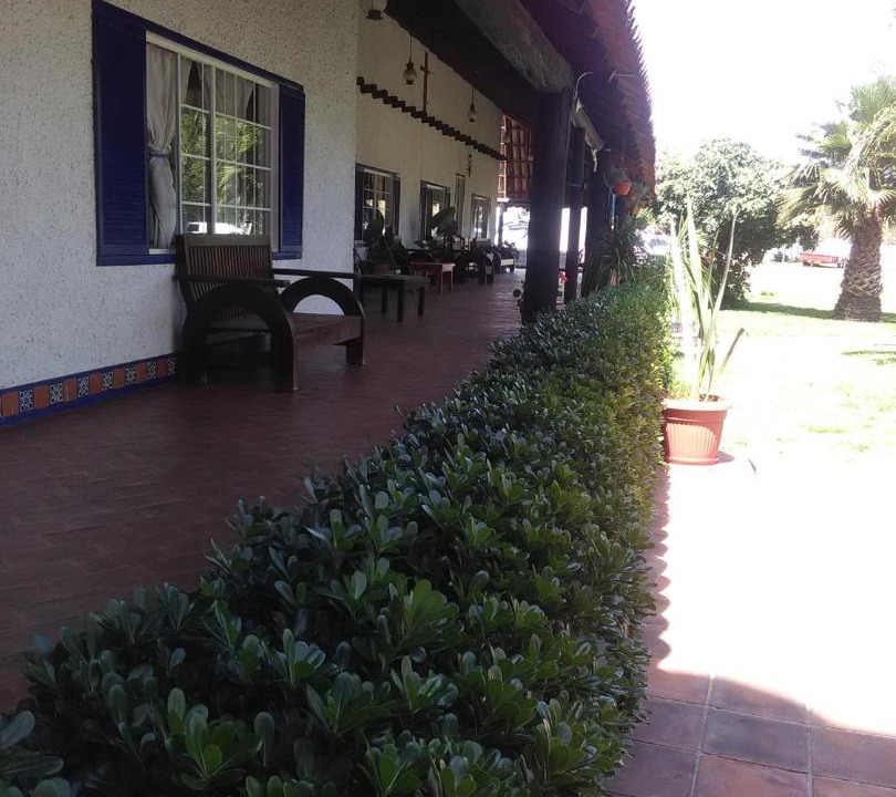 Photo of Others in Teotihuacan Centro