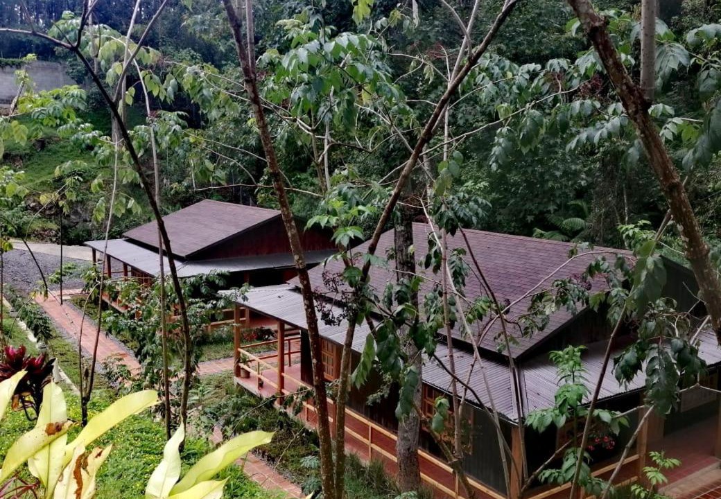 Photo of Others in Coban