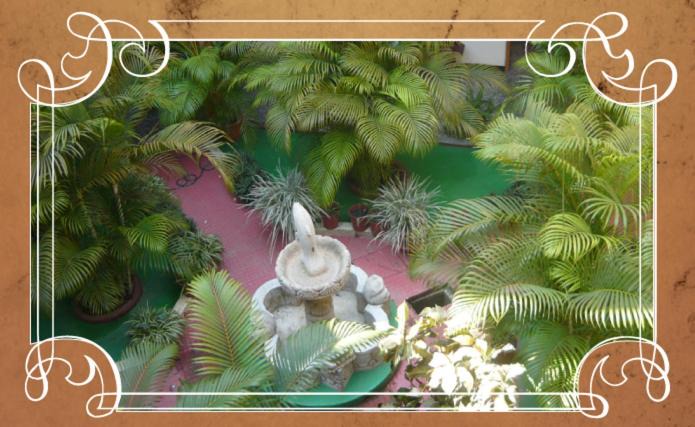 Photo of Others in Puerto Barrios