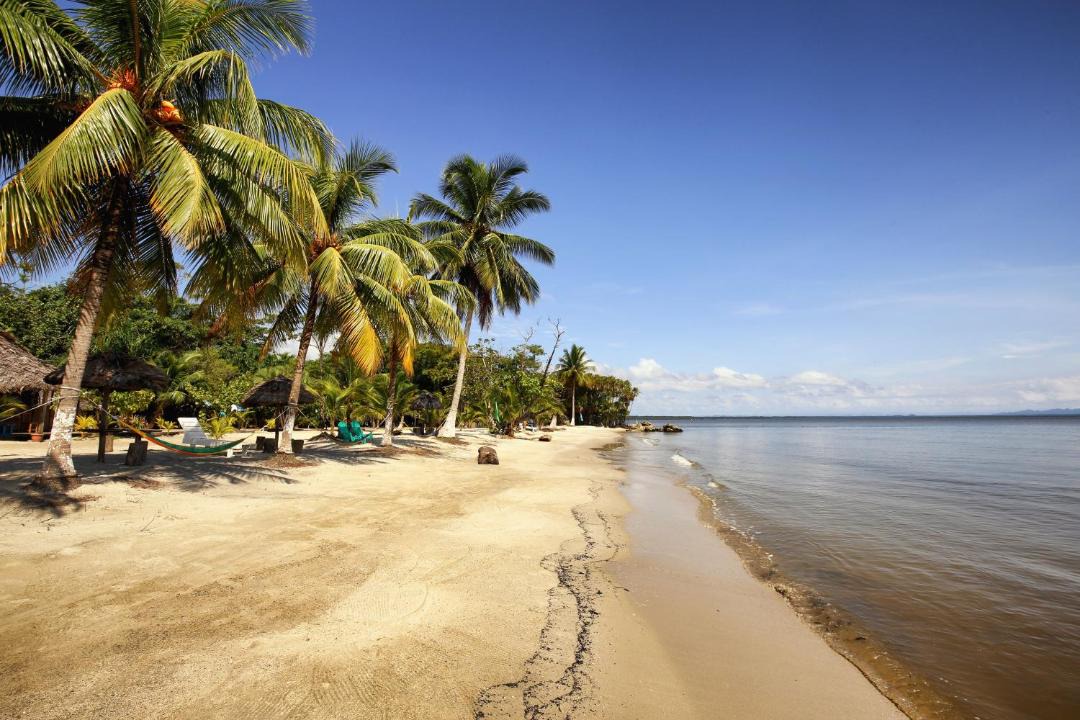 Photo of Others in Puerto Barrios