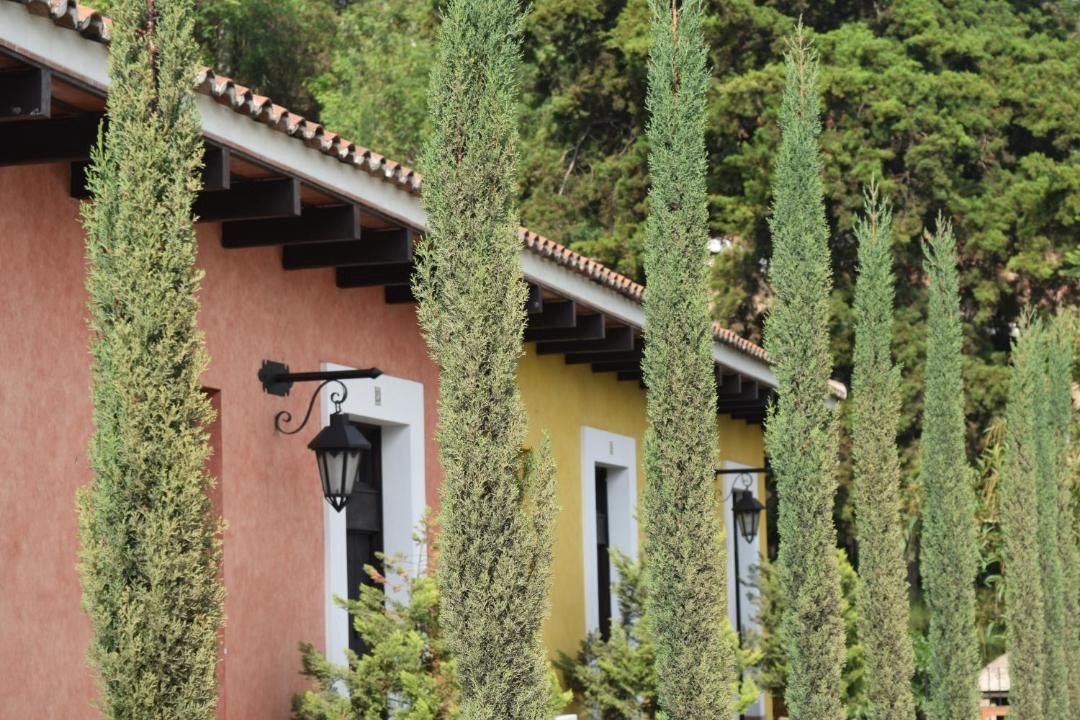 Photo of Others in Antigua Guatemala