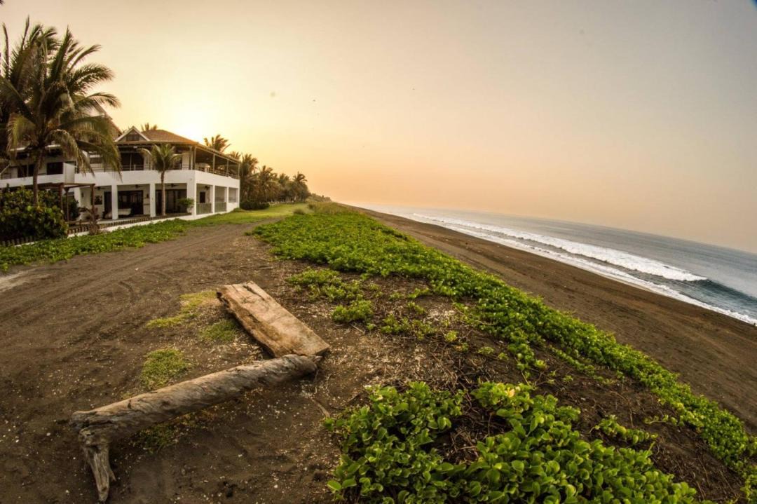Photo of Others in Monterrico