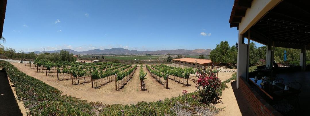 Photo of Others in Valle de Guadalupe