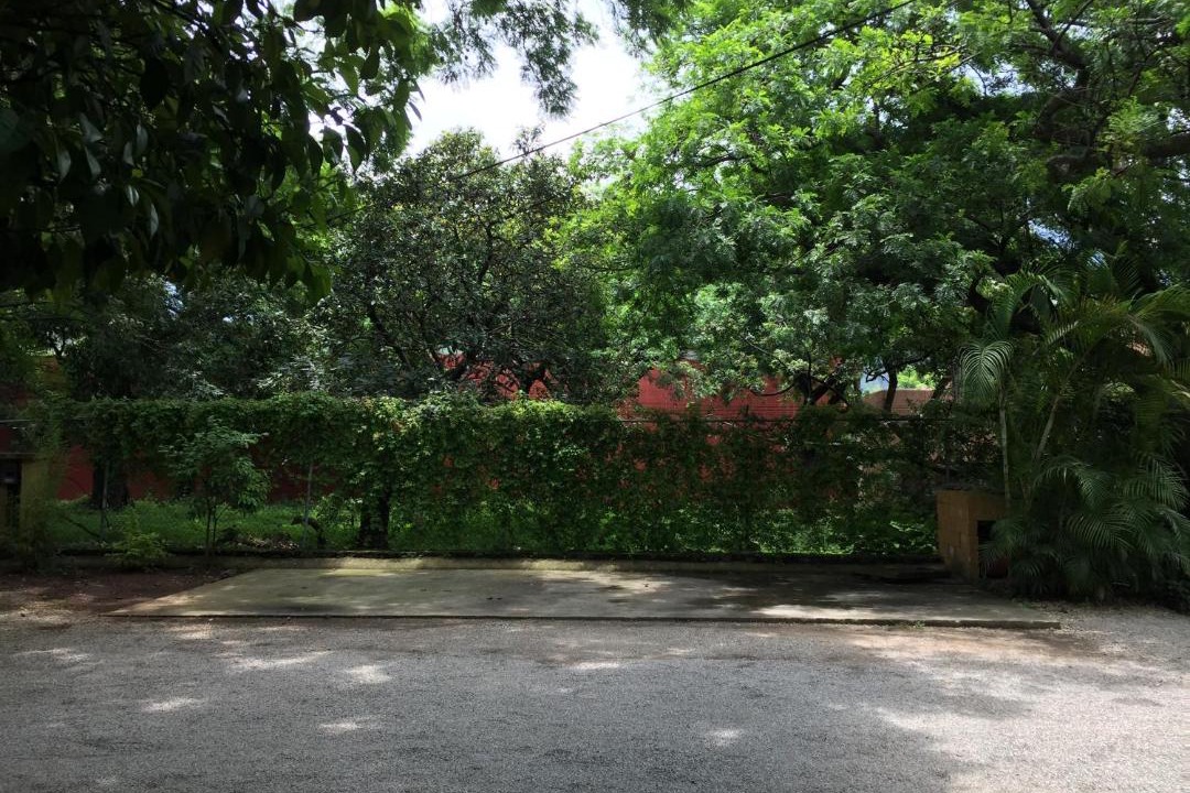 Photo of Others in Tepoztlan