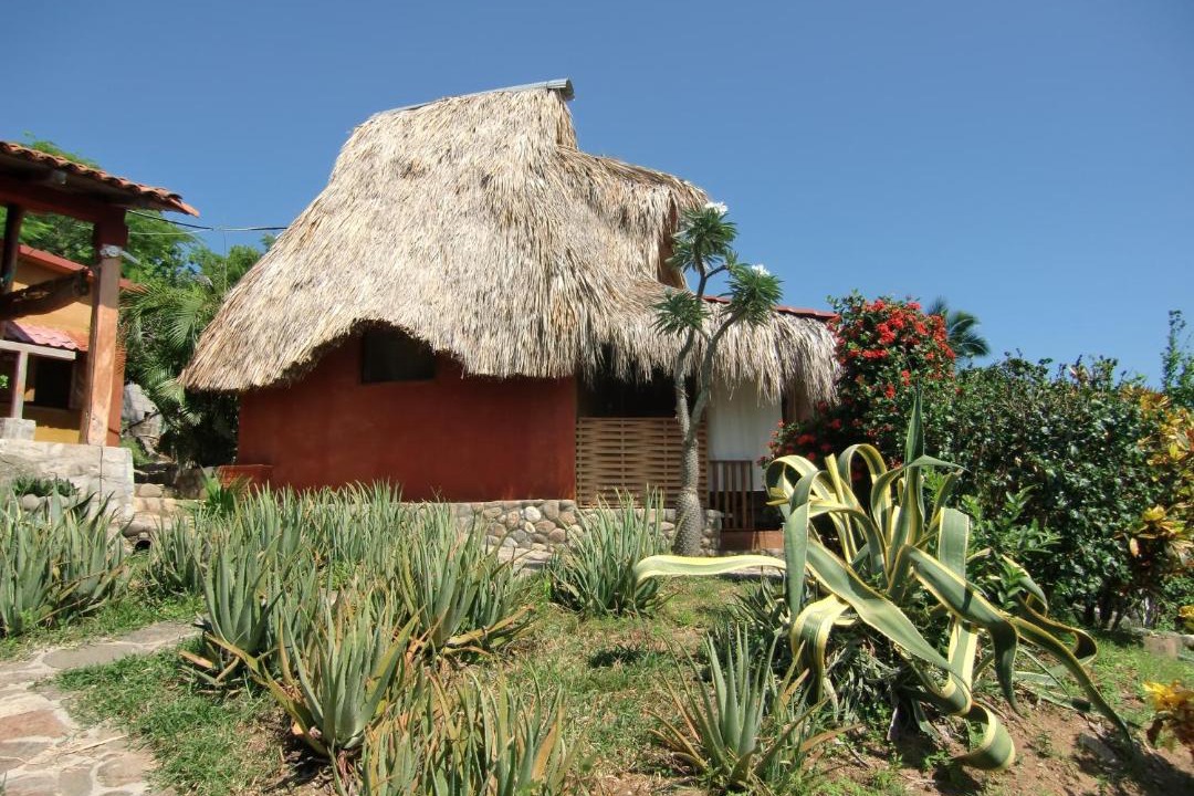 Photo of Others in San Pedro Pochutla