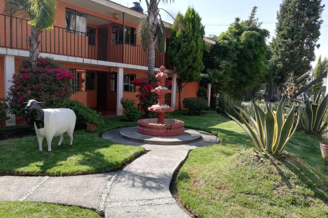 Photo of Others in Cholula