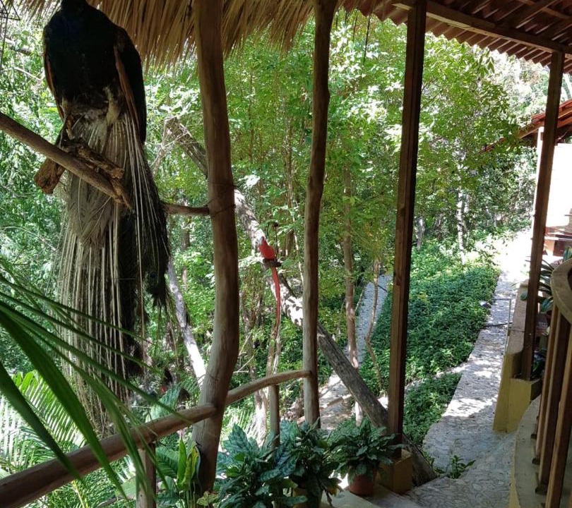 Photo of Patio Balcony in Mazunte