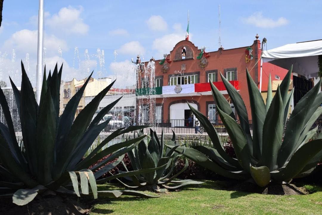 Photo of Others in Metepec