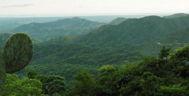 Photo of Others in Tuxtla Gutierrez