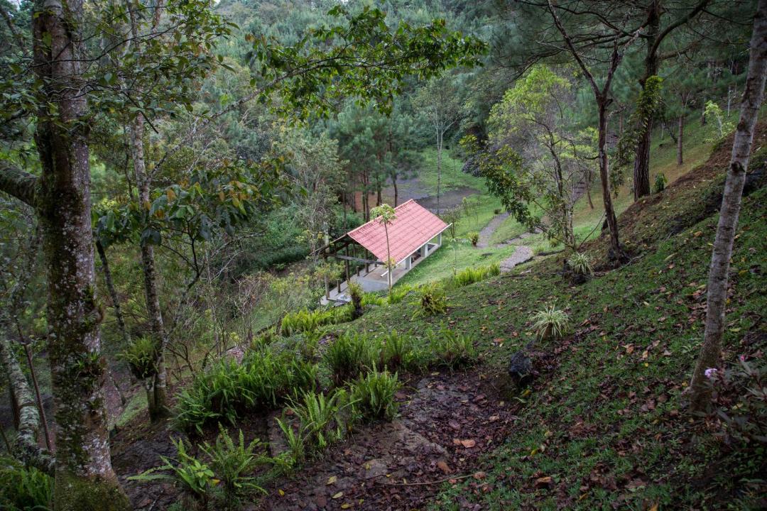 Photo of Others in Coban