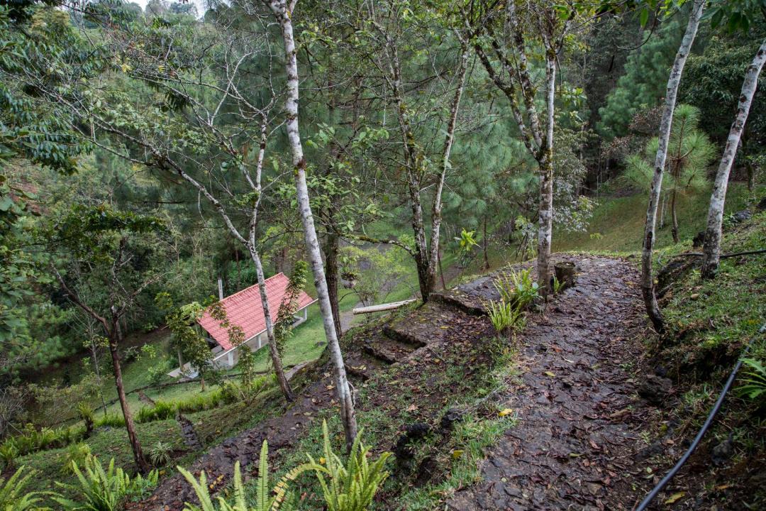 Photo of Others in Coban