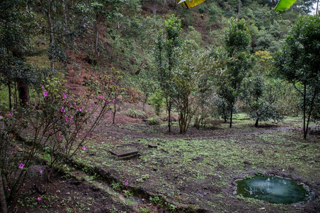 Photo of Outdoor in Coban