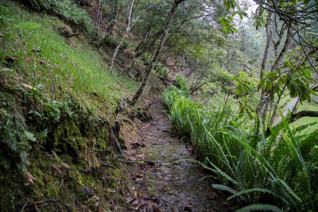 Photo of Outdoor in Coban