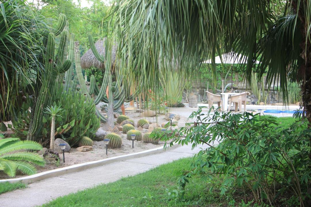 Photo of Others in Lo de Marcos