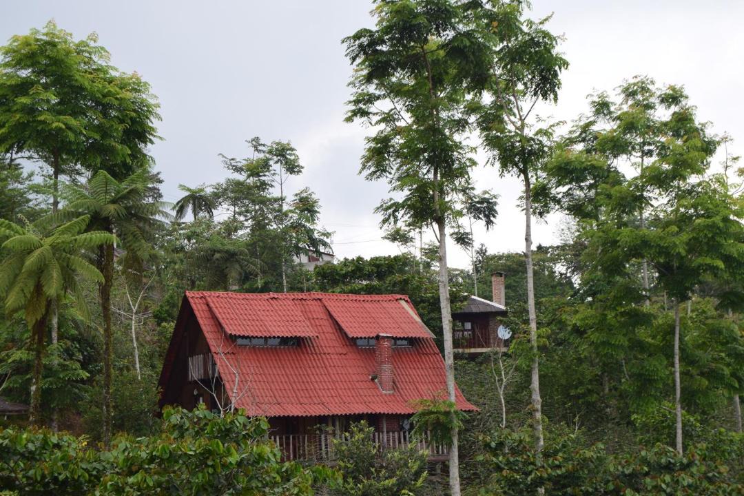 Photo of Others in Cuetzalan del Progreso