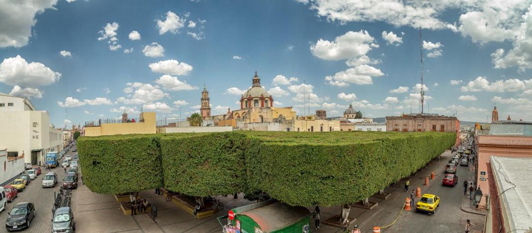 Photo of Others in Downtown Queretaro