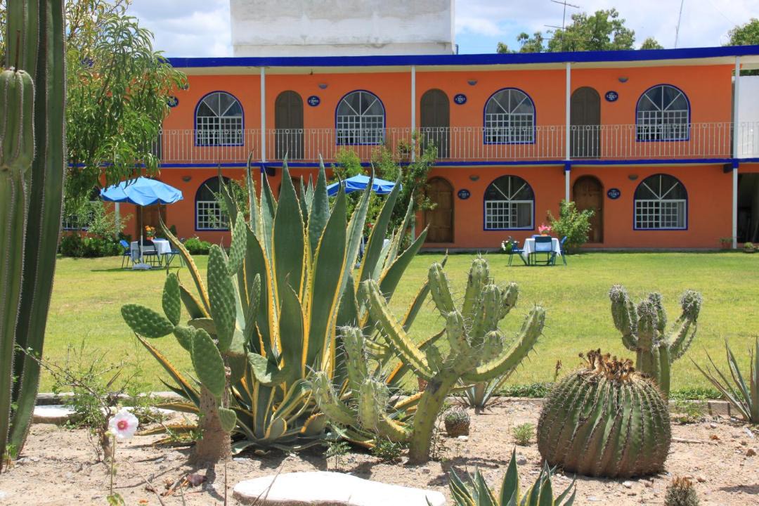 Photo of Others in Tecozautla