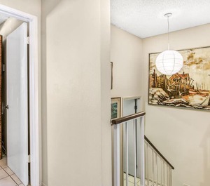 Bahia Vista Avalon 
