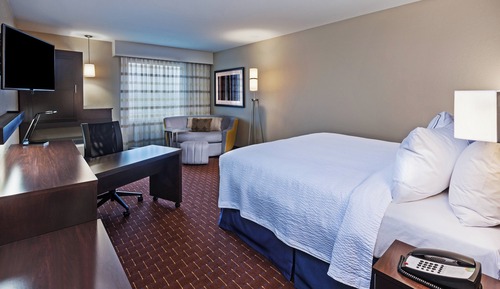 Room, 1 King Bed with Sofa bed, Hearing Accessible