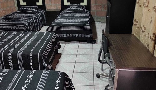 Standard Shared Dormitory