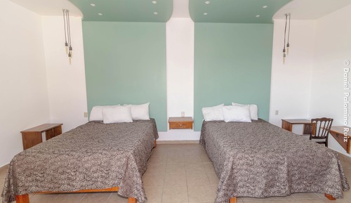 Basic Double Room