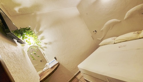 Basic Single Room