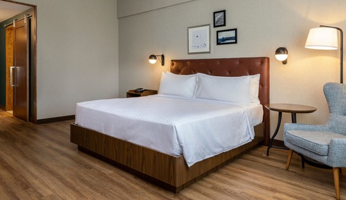 Room, 1 Queen Bed