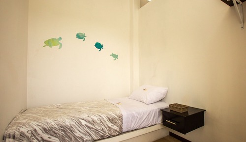 Basic Single Room (201)